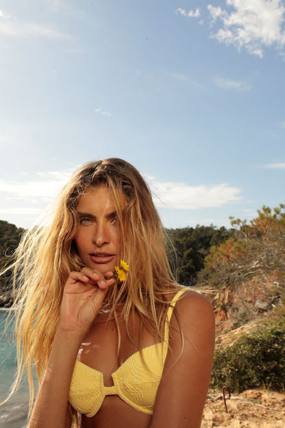 Top Jondal Yellow Polen